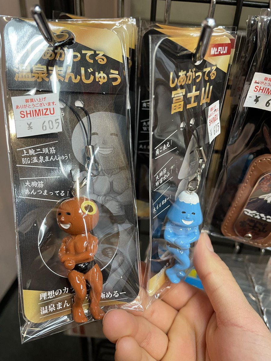 富士山⁇譲ります 郡山市富久山町久保田字枡形：分譲（1号棟） – 【公式】株式