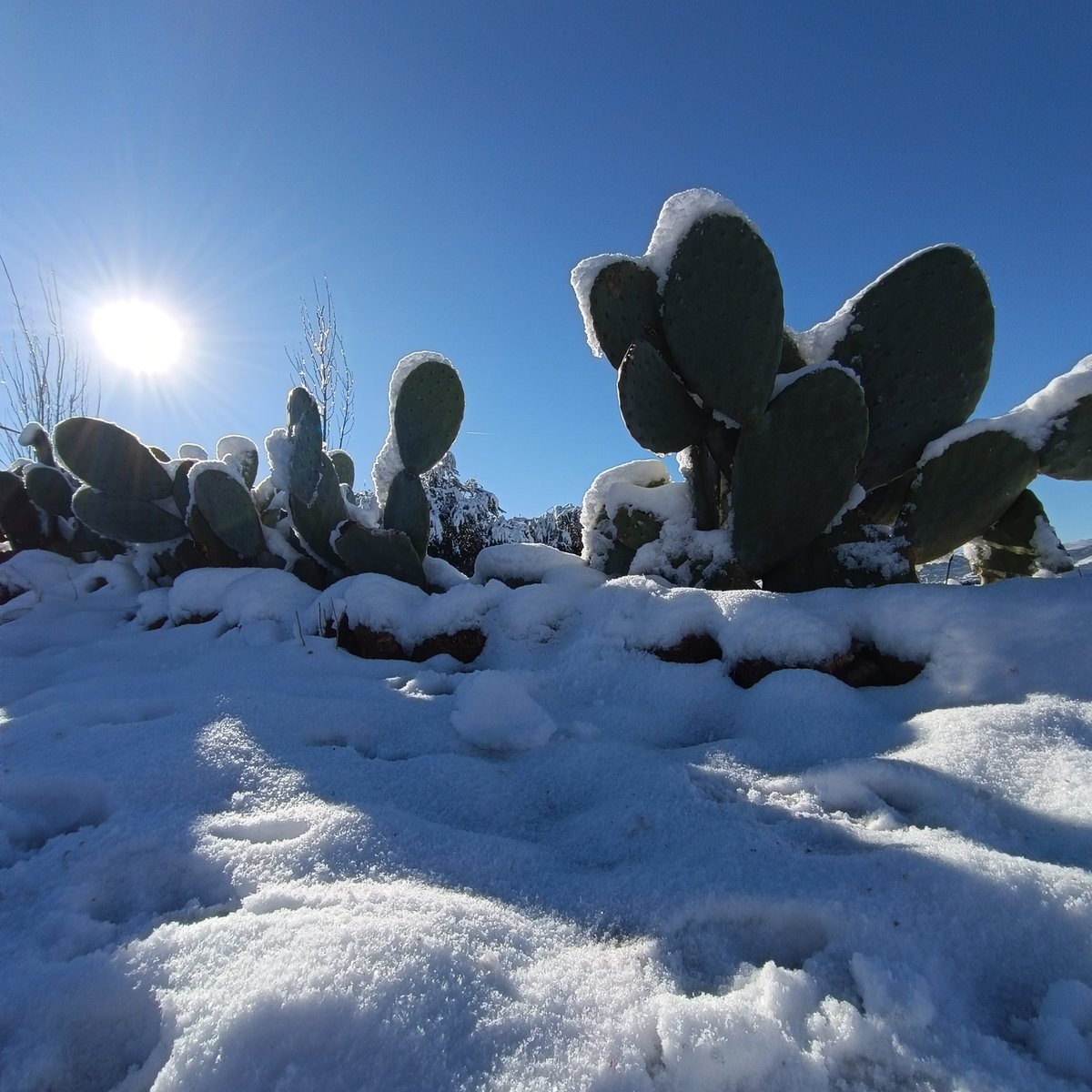 En la calle hace frío, pero en la comunidad no puede haber más calor <a href="/BosqueHabitado/">El Bosque Habitado</a> hoy arde  #MientrasVuelveLaMagia
#BosqueHabitadoRadio3