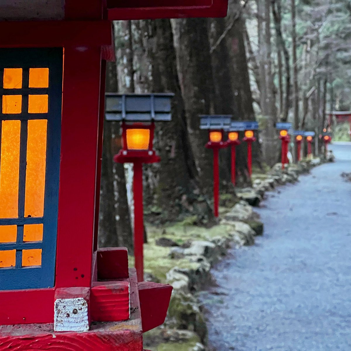 forest58231220's tweet photo. 貴船神社⛩️奧宮參道

#貴船神社 #奧宮 #參道 #京都 #kyoto https://t.co/jnEOh6ErMf