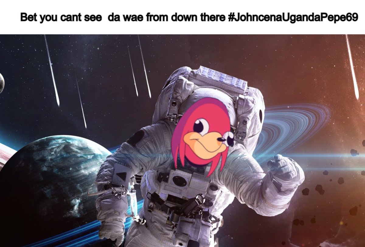 Noscopeturtle's tweet photo. @tradinbenjamins John Cena told me to buy #Harambe and #JohnCenaUgandaPepe69 before he disappeared into thin air https://t.co/Vbt78M8nYX