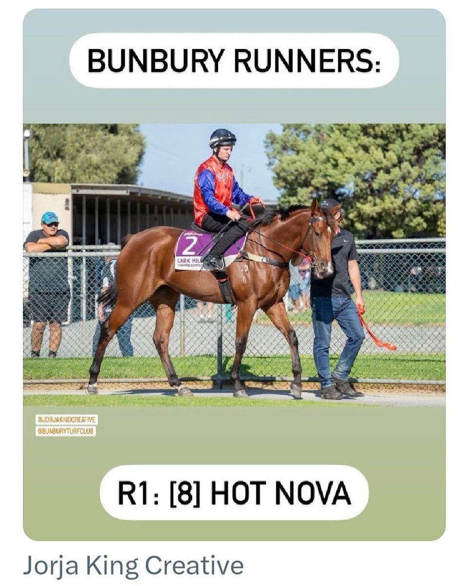 A lot of work gone into this filly behind the scenes. 
Great training effort by <a href="/Pearce_Racing/">Pearce Racing</a> 
Well done to all the ladies in the ownership.