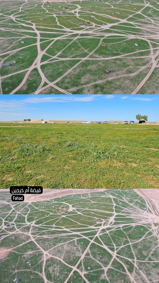 f_mozain's tweet photo. إن الله يديم نعم الحامدين ، فالحمدلله كثيراً..
 
فيضة أم خرجين 
#الارطاوية
من #تصويري https://t.co/RKWXcjCqw6