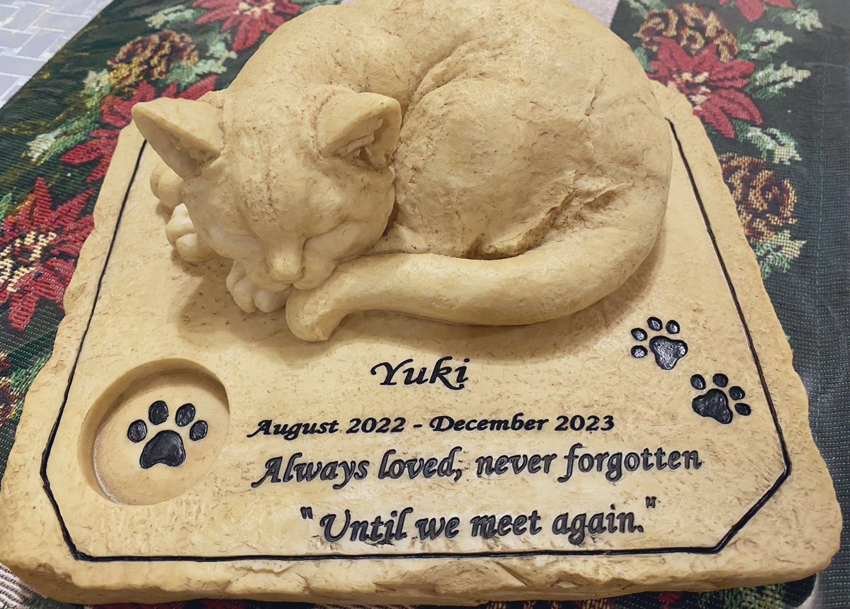 yuki’s memorial marker came in today. i still miss this little boy so much and it still hurts like hell that he’s not around anymore. 💔❤️‍🩹

#cat #catmemorial