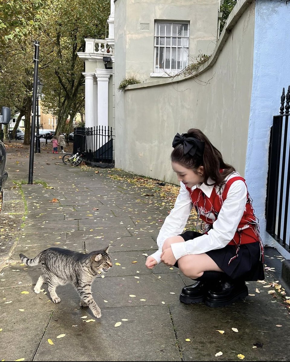 SUWMlN's tweet photo. In the heart of London's charm, my day took a delightful turn as I found a furry friend in the form of a stray cat. The first picture captures pure joy, my smile radiating happiness as the curious feline draws near, forming an unexpected connection in the bustling city. https://t.co/HJniGXXrzb