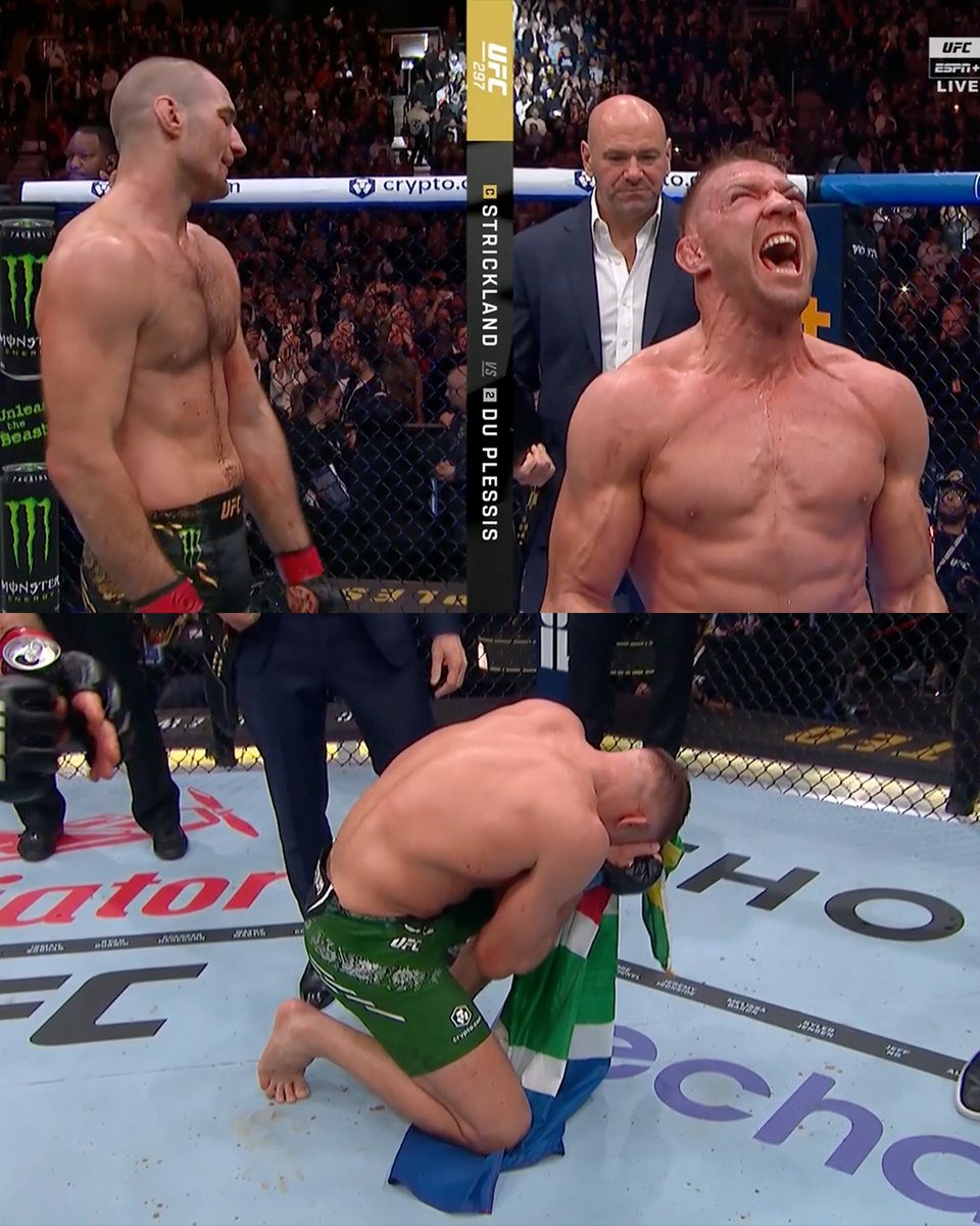 Caged beast crypto (69) foto