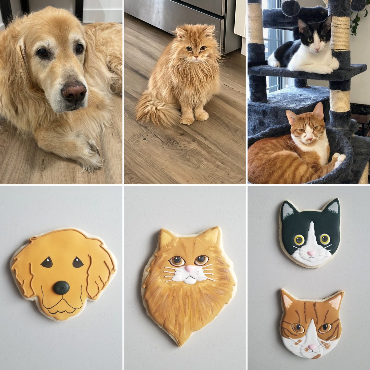 Pet Portrait Cookies
#dogcookies #catcookies #decoratedcookies #sugarcookies #cookiedecorator #cookiesofinstagram #instadaily #vancouvercookies #vancouverbaker #604eats #portraitcookies #petportraitcookies