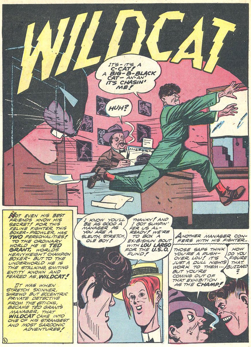 Hasen Wildcat title pages that I'm obsessed with now 