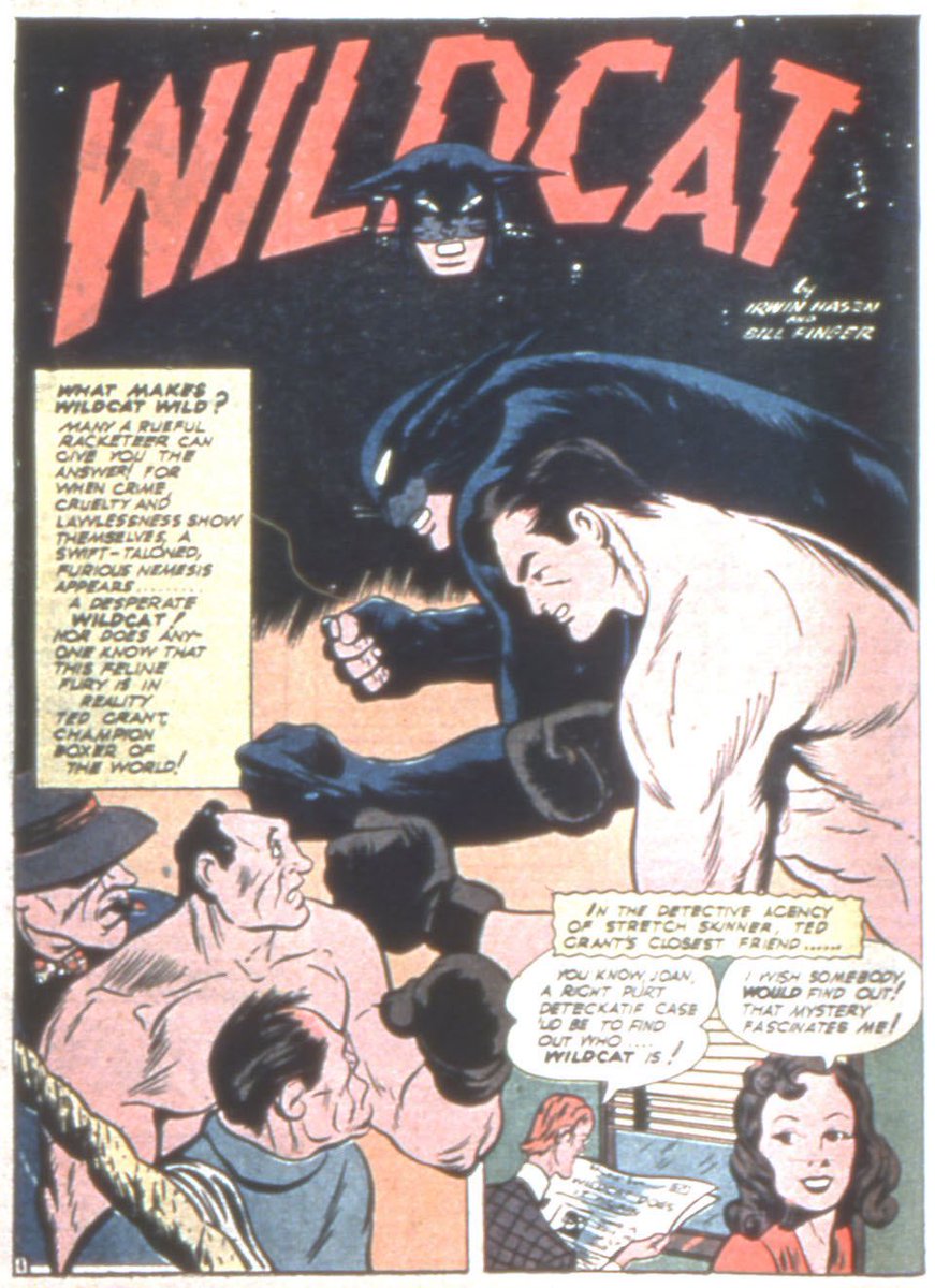 Hasen Wildcat title pages that I'm obsessed with now 