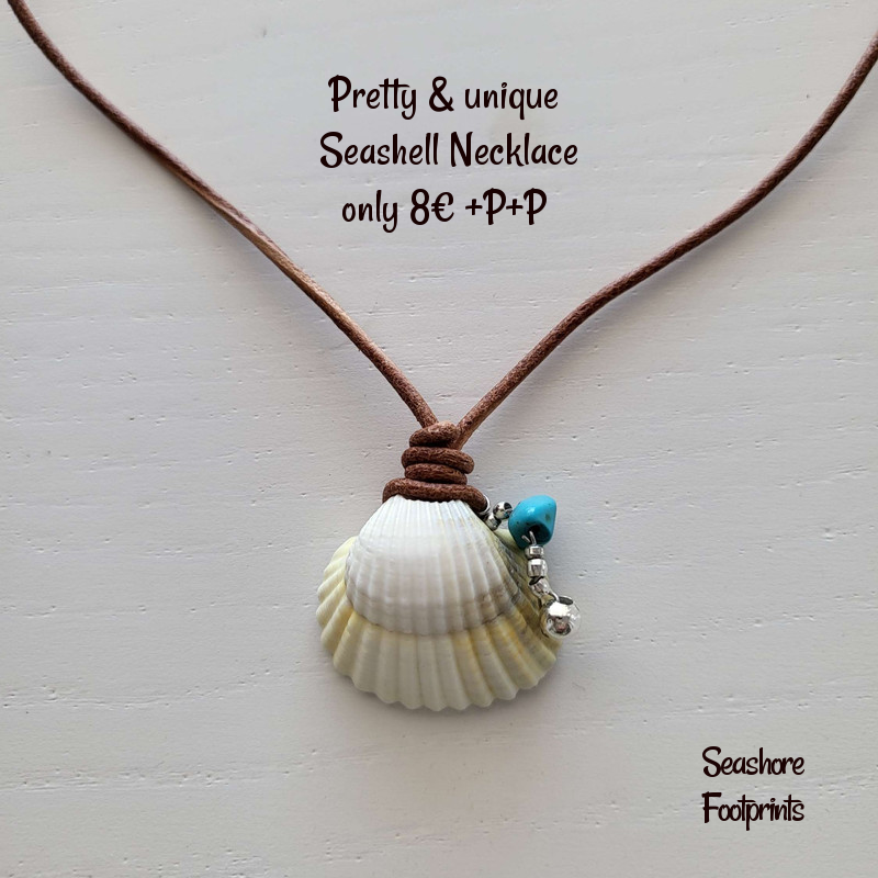 Katrinashells's tweet photo. This lovely shell has been used to create a beautiful necklace using locally sourced shells from the beaches of the Mar Menor,  Spain

Pair them with these pretty &amp; unique earrings

https://t.co/dWuFzJouOg

#seashellnecklace #shellnecklace #shelljewellery #shell #mhhsbd https://t.co/etWUhgGb6H