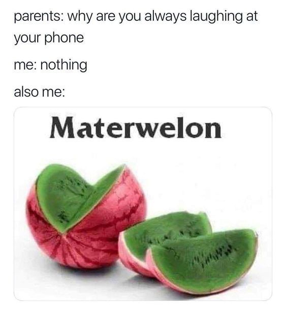 WholesomeMemes (@wholesomememe) on Twitter photo 