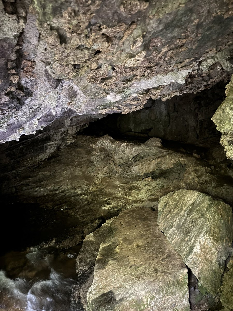 Greg Vann tweet media