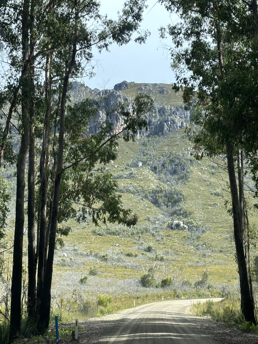 Greg Vann tweet media