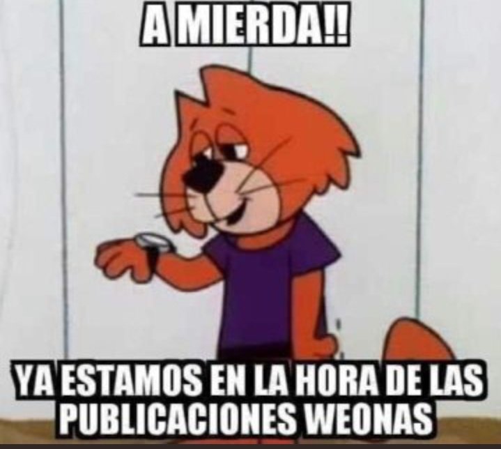 Fernando SH tweet media