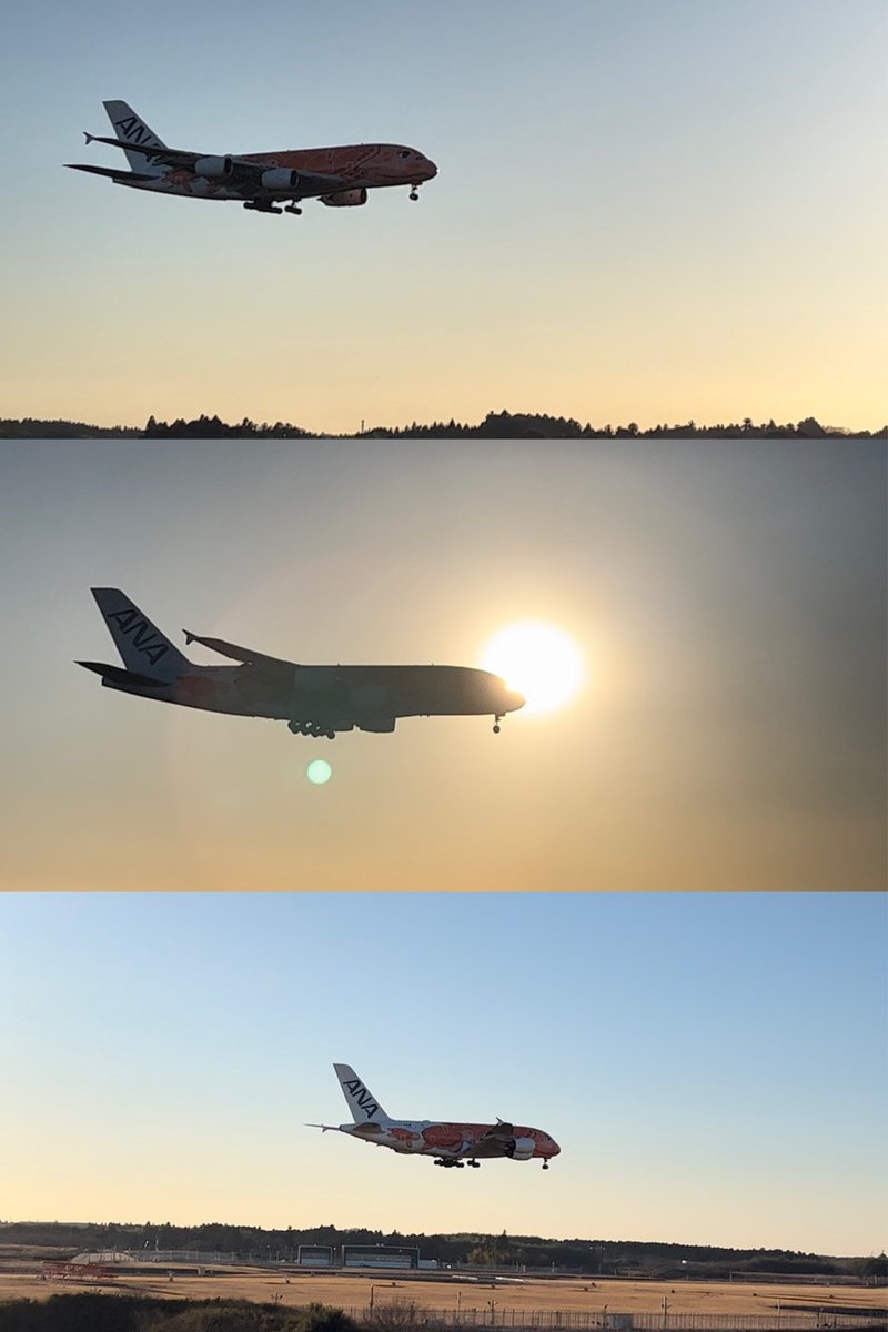 nogizaka46's tweet photo. 【ブログ更新 清宮レイ】 早くも第二弾！✈︎ https://t.co/2NMVJki6Zw https://t.co/5rUgGCn0yf