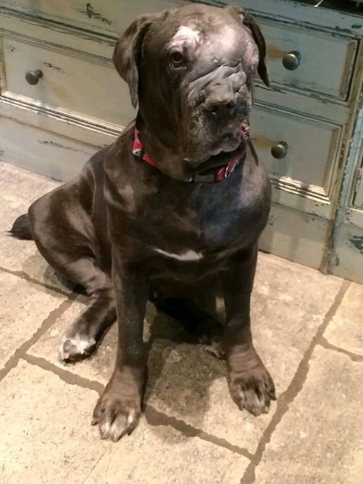 Most people don't want me because I'm not beautiful..But so far nobody has shared my Face. 💔 🥺🙏