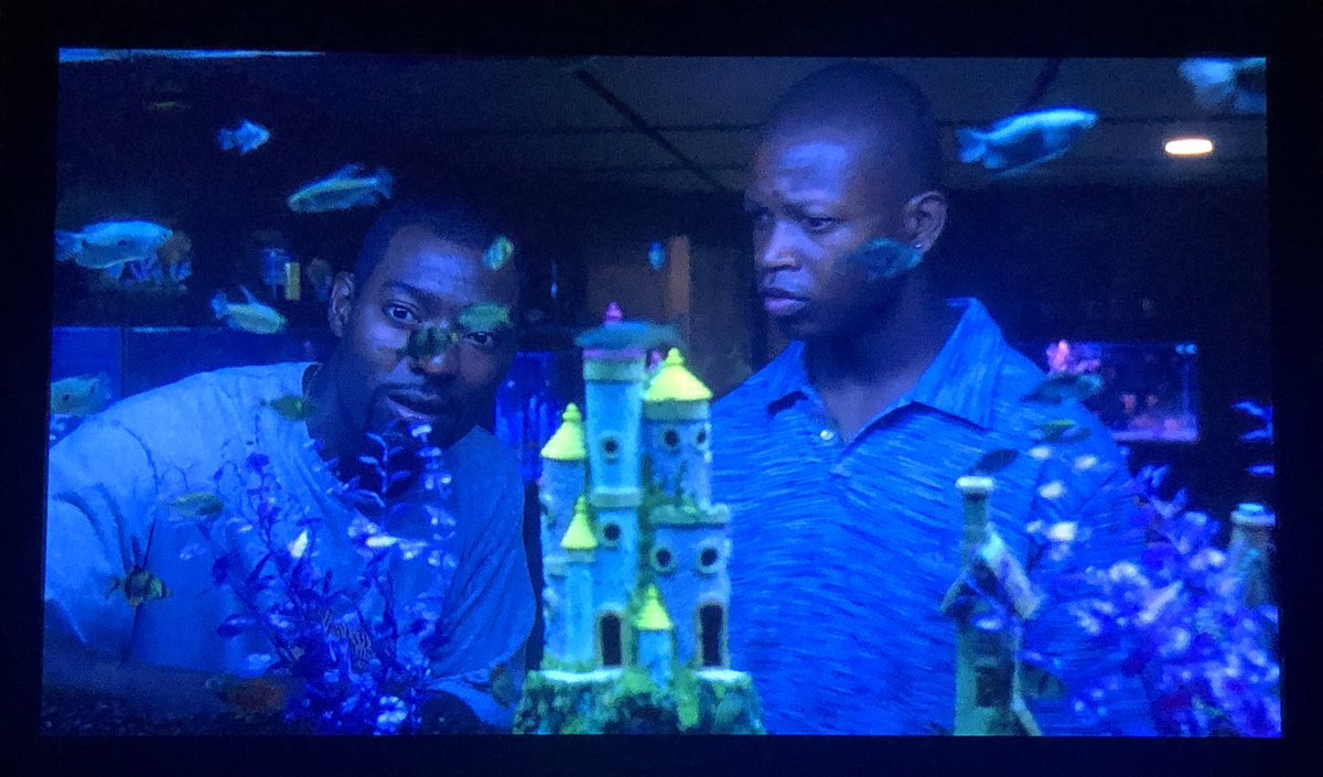 Danielle Langlois tweet media