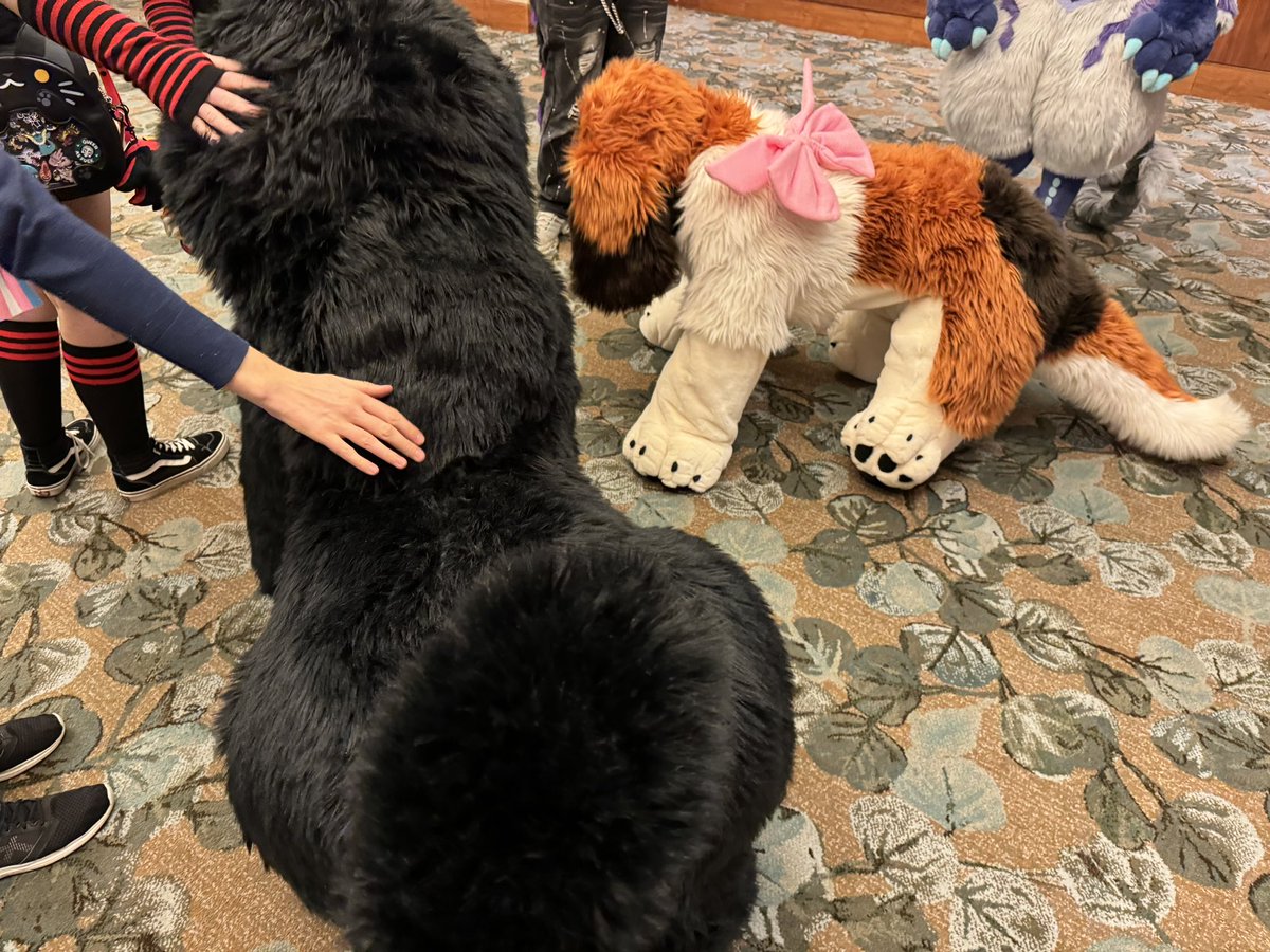 Oh no… Illegal buppy… Think of the children…

🐾: Me
🐶: <a href="/AprilSpaniel/">April 💕🌸</a> 
🪡: <a href="/StoofStudios/">Stoof</a> 
#quadsuit #ane2024 #crawlingquad