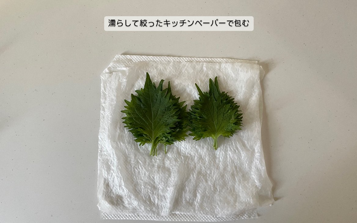 なちゃ tweet media