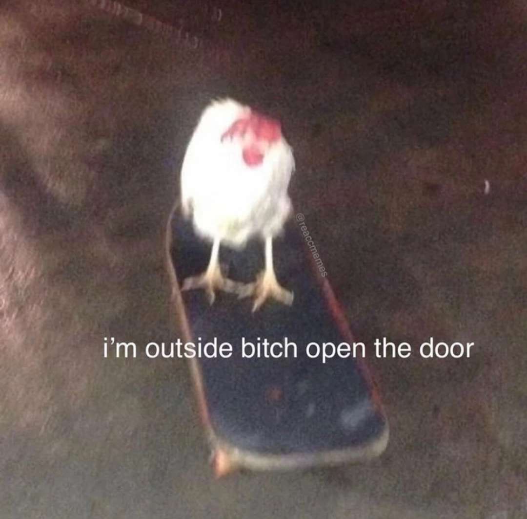 comfychaiAD's tweet photo. @lewd_beeps omw 😘😩 https://t.co/aF4oOLcqeX