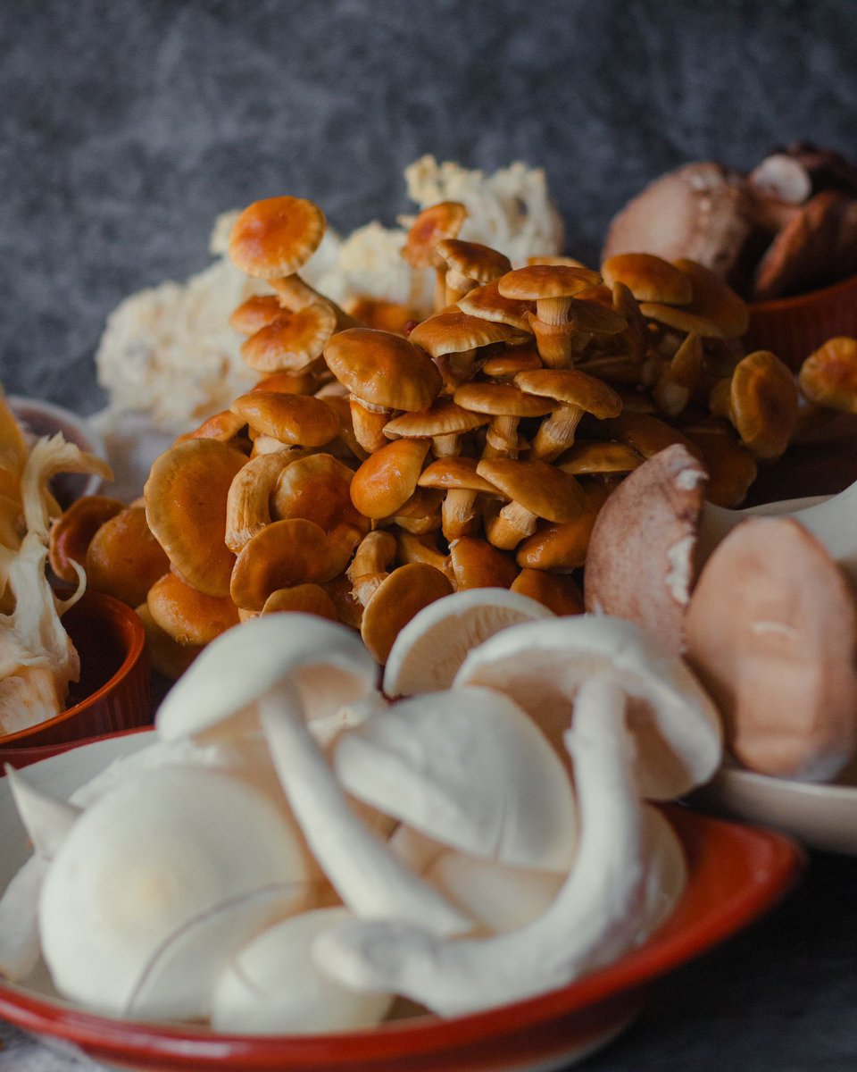 GarryhinchMush's tweet photo. Now whatβs for brunch? π€
Letβs go exotic! π΄
#exotic #exoticmushrooms #mushrooms #meatless #vegan #veganuary #veganuary24 #veganuary2024 #govegan #tryvegan #meatlessmeals #meatlessmonday #GoOrganic #GoExotic #GoIrish #GoGarryhinch #organic #Garryhinch https://t.co/RcRU6Tz2yR
