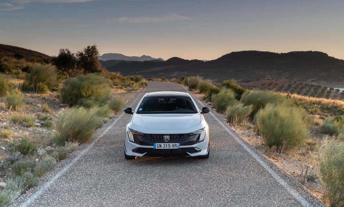 Peugeot tweet media