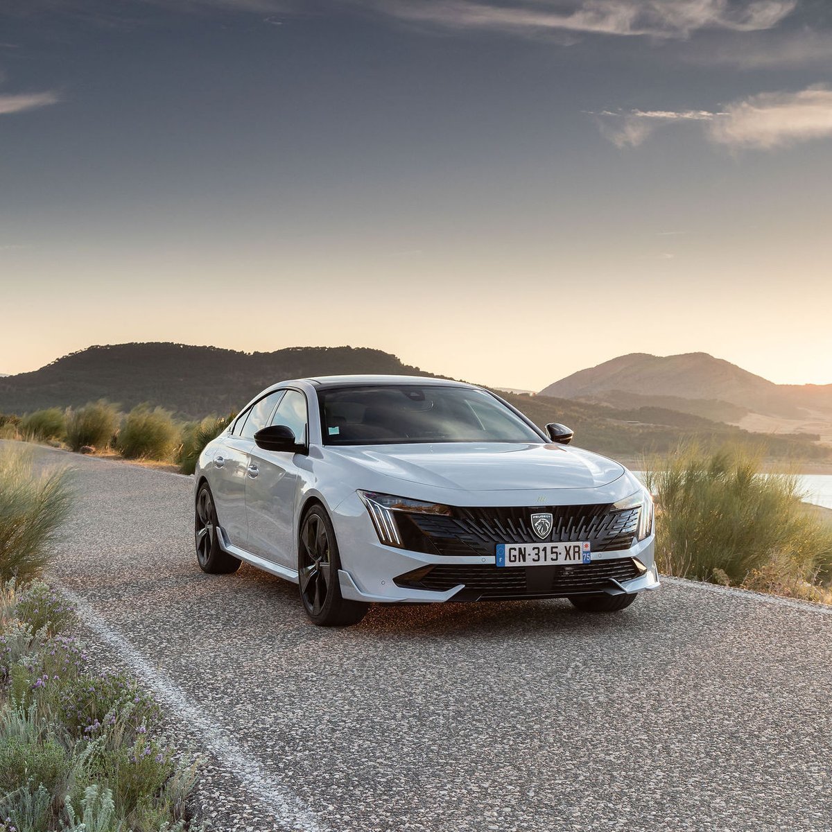 Peugeot tweet media