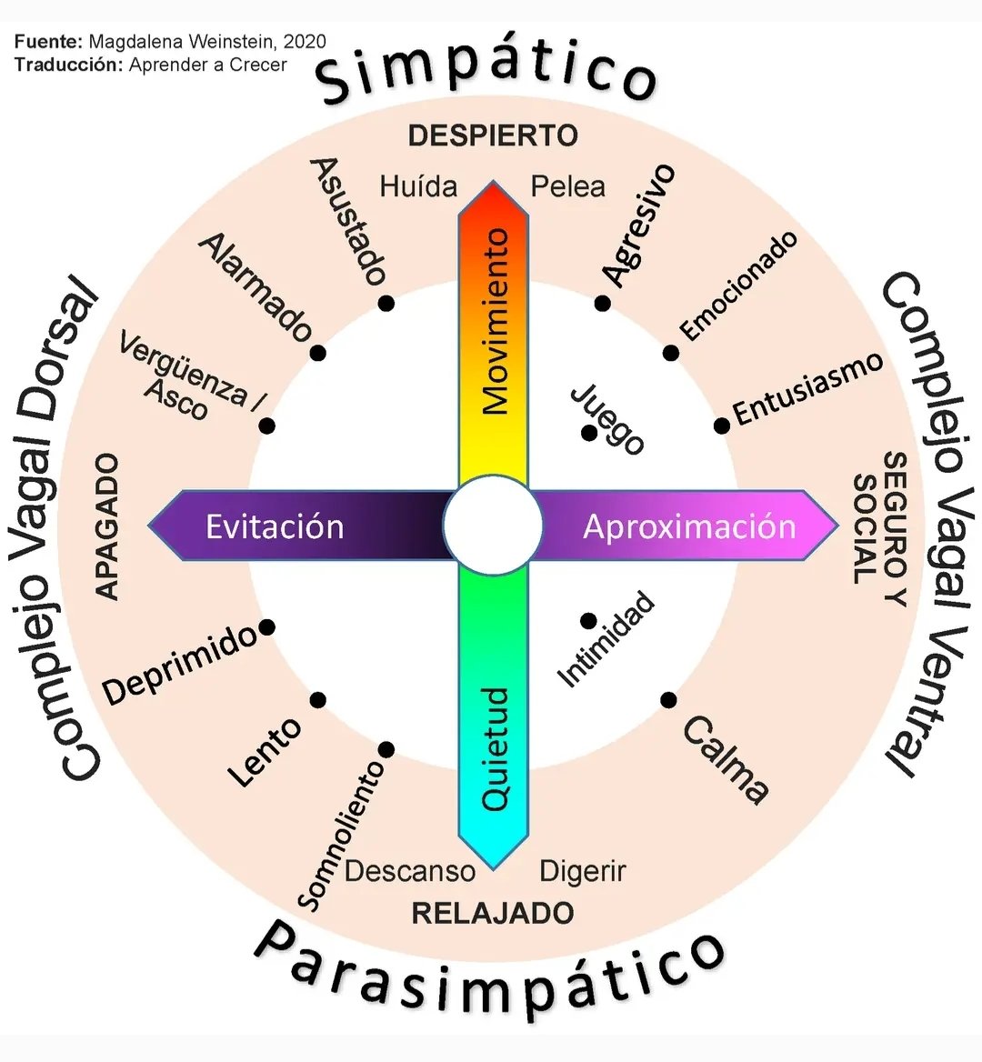 Cuida lo que comes, lo que sientes, lo que piensas, lo que ves, lo que oyes, lo que dices, lo que haces, con quién estás, dónde vives, lo que te apasiona, lo que te hace crecer, para que tu sistema nervioso este en EQUILIBRIO y te cuide a ti para no enfermar.