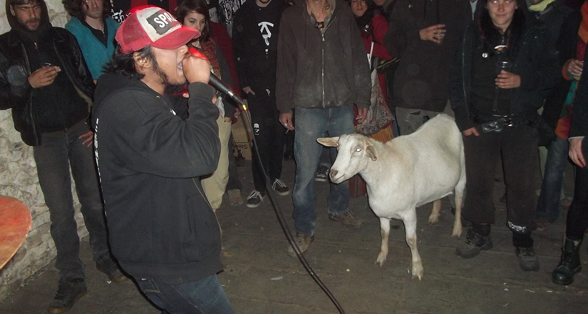 asongneversung's tweet photo. this is the only type of animal shenanigans i wanna see at a show: https://t.co/Um0F7y7fIZ