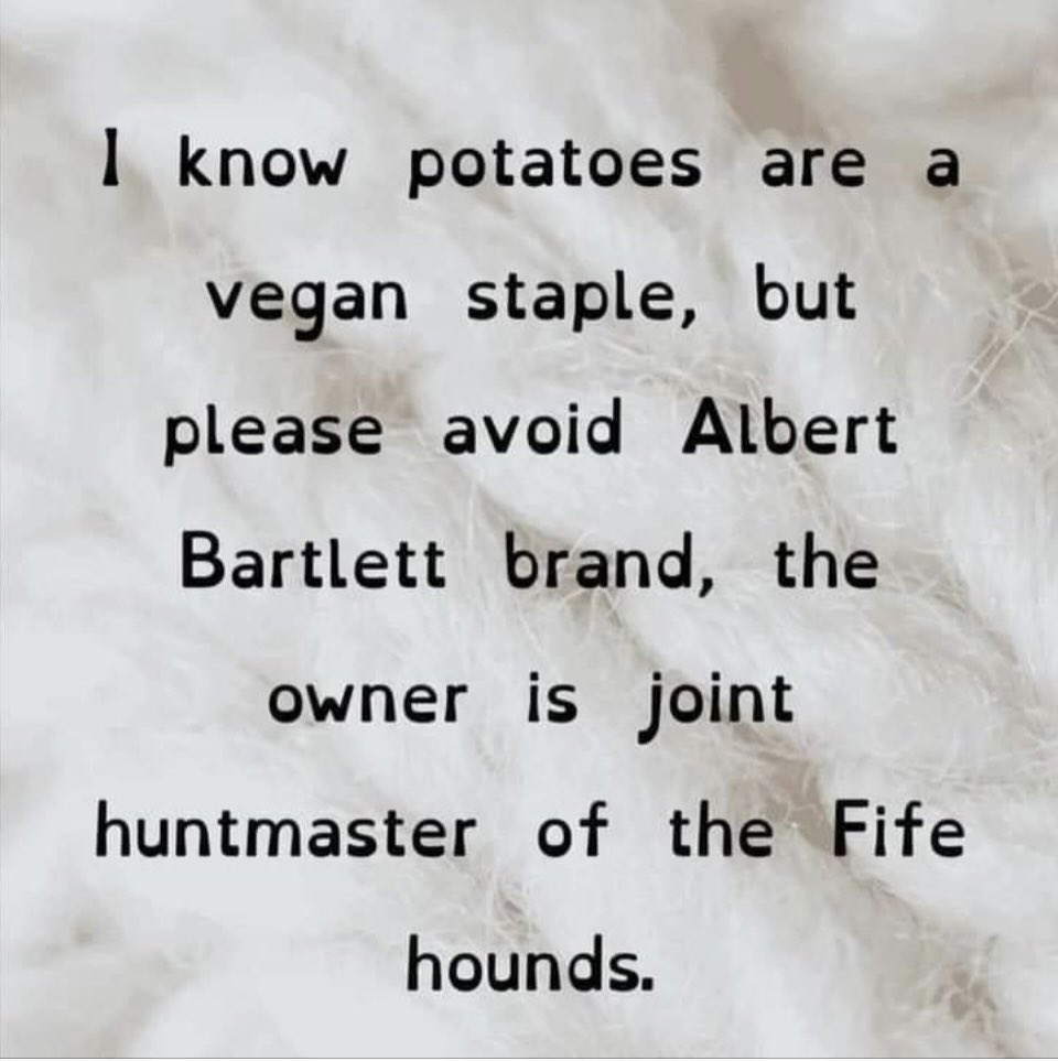 Zorg (@nightnoodle) on Twitter photo 