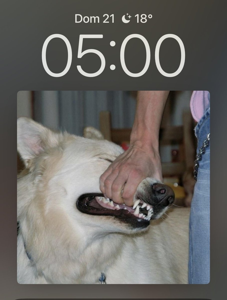 withfio's tweet image. 