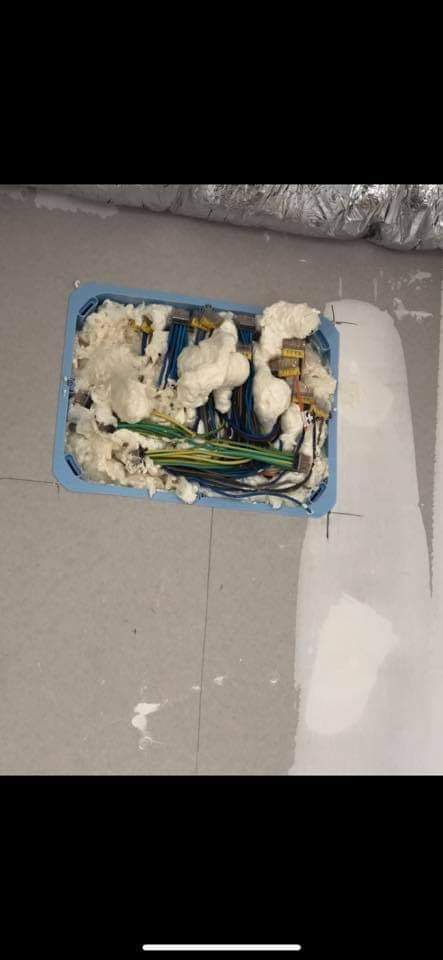 ⭐️NosArtisansOntDuTalent ⭐️ tweet media