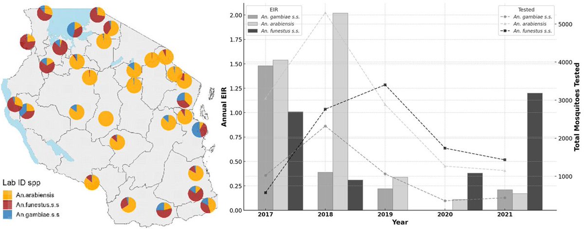 New publication provides details of the evolving trends in malaria transmission in Tanzania - reveals which vector species are most abundant, and more importantly,  which species are responsible for the bulk of malaria infections.
~
A new paper by Tanzania's National Malaria