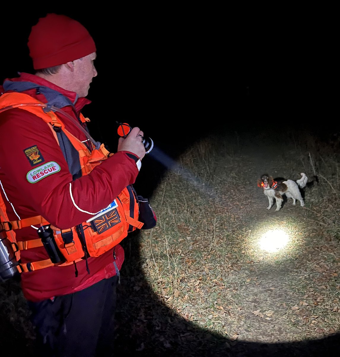 Trainee Search Dog Koda tweet media