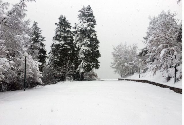 Greek Music Channel tweet media