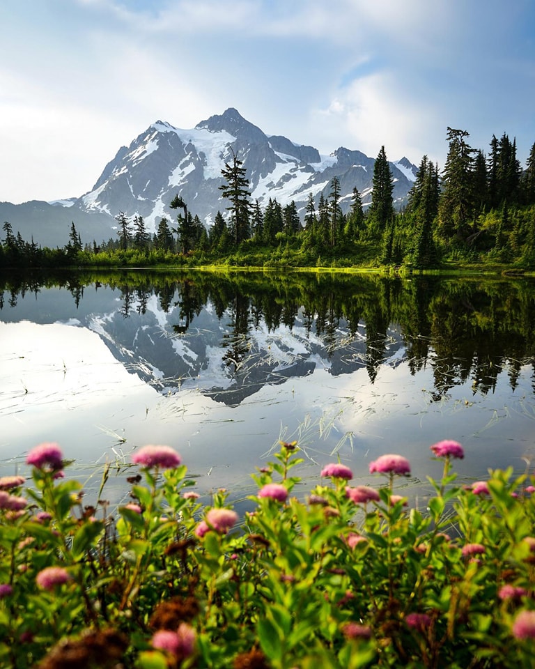 nritravelogue's tweet photo. West Coast, USA: Where the Pacific Ocean meets diverse landscapes, from the sun-kissed beaches of California to the lush forests of the Pacific Northwest. Embark on a journey along the iconic coastline and witness the beauty of the West. ๐๐ฒ #WestCoast #PacificAdventure #CoastalBeauty