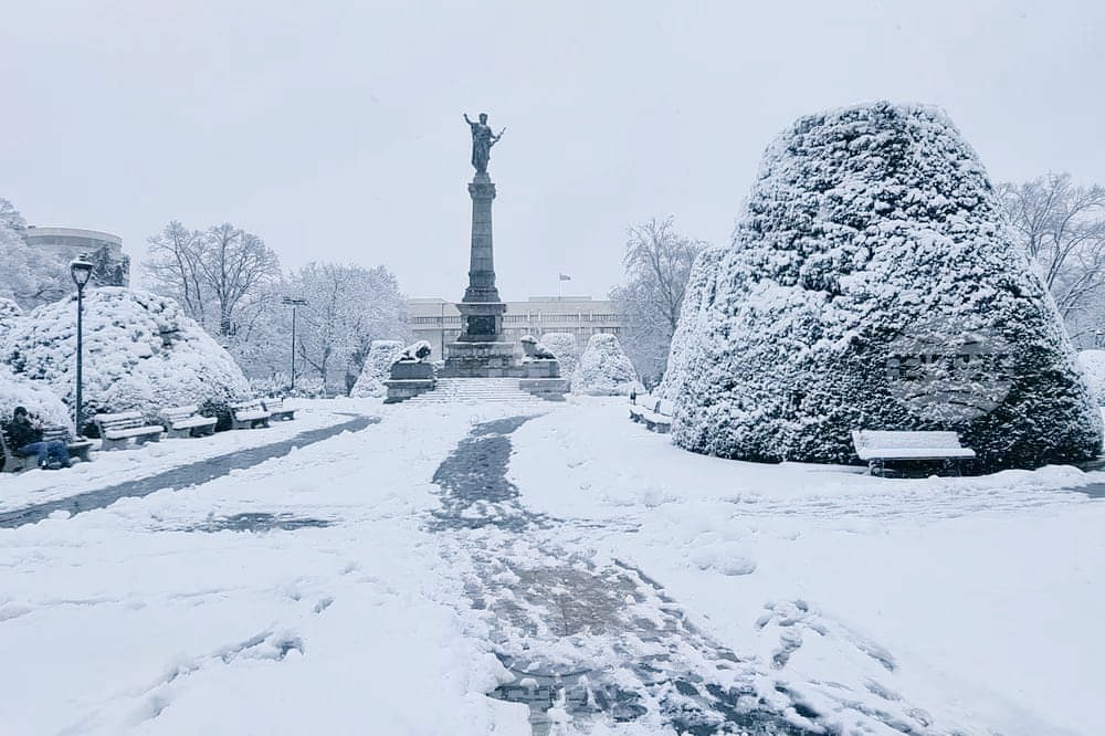 bgbalkans's tweet image. Bulgaristan, Ruse / Rusçuk ❄️

📸 Biser Todorov - BTA