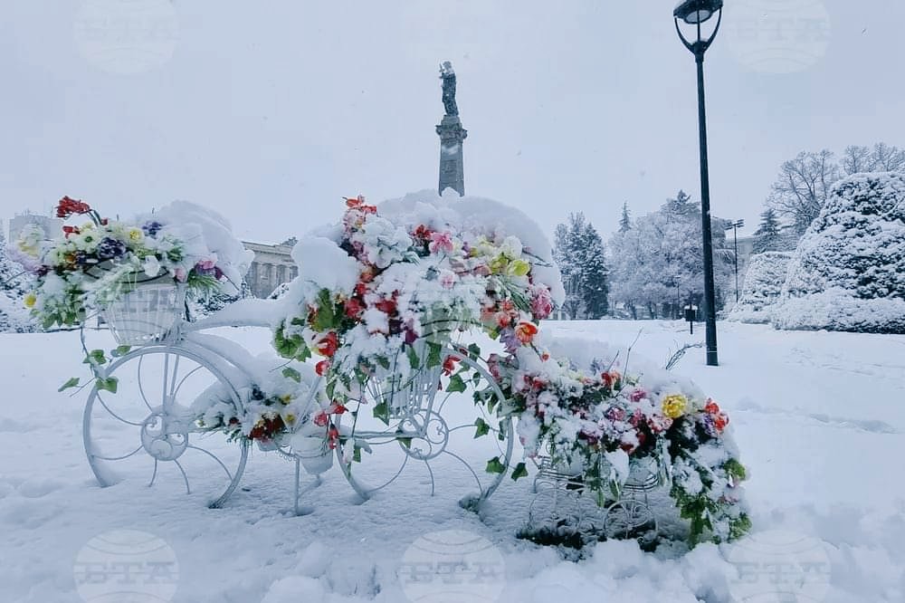 bgbalkans's tweet image. Bulgaristan, Ruse / Rusçuk ❄️

📸 Biser Todorov - BTA