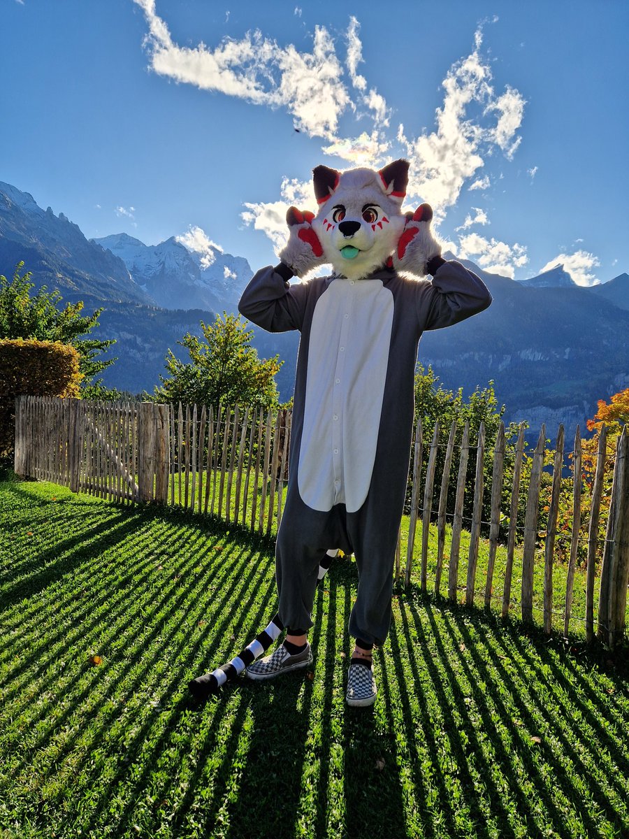 мıпт 🌱 tweet media