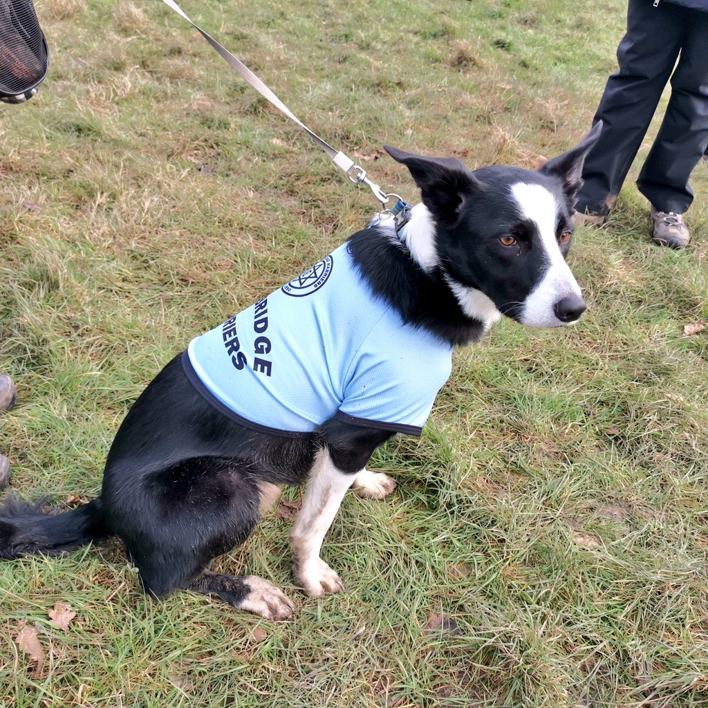 Best photo from yesterday. All running clubs should have kit for dogs 🐶🤩