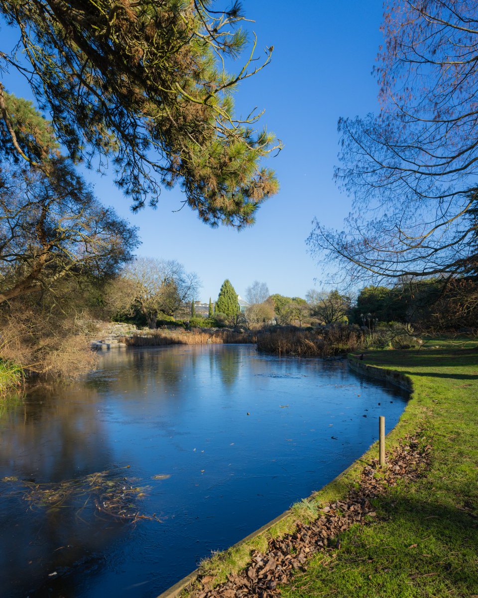 ❄️ Even in winter, the @CUBotanicGarden is a beautiful place to take a stroll in. What would you enjoy best? 🌺 Meander through the Glasshouse? 🥾 Tread the boardwalk? 🦆 Watch the wildlife skate across the frozen pond? 💧 Taking a turn around the water?
