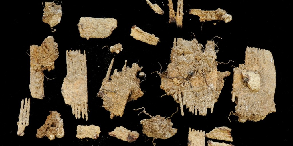 wessexarch's tweet photo. Before (left image) and after (right image) images of a bone comb #FoundInTheGround in an Anglo-Saxon cemetery at Avon Camp during excavations for @dio_mod Op. Nightingale, which was meticulously cleaned by our Archaeological Conservator, Tom Wicks! https://t.co/wEdp32sfXv