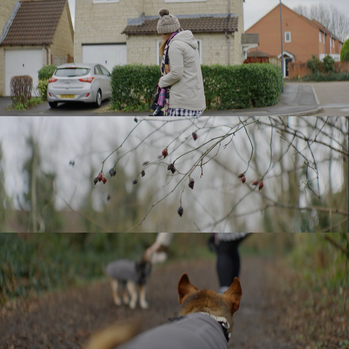 danielpetersdop's tweet image. NEW Blazar Remus Anamorphic Test is up! This time I shot it on my @sonyproeurope Sony A7SIII // Watch on my YouTube 

#sonya7sIII #a7s3 #a7sIII #blazaranamorphic #remusanamorphic #anamorphic #ovalbokeh #director #cinematography #videography #dop #slog3