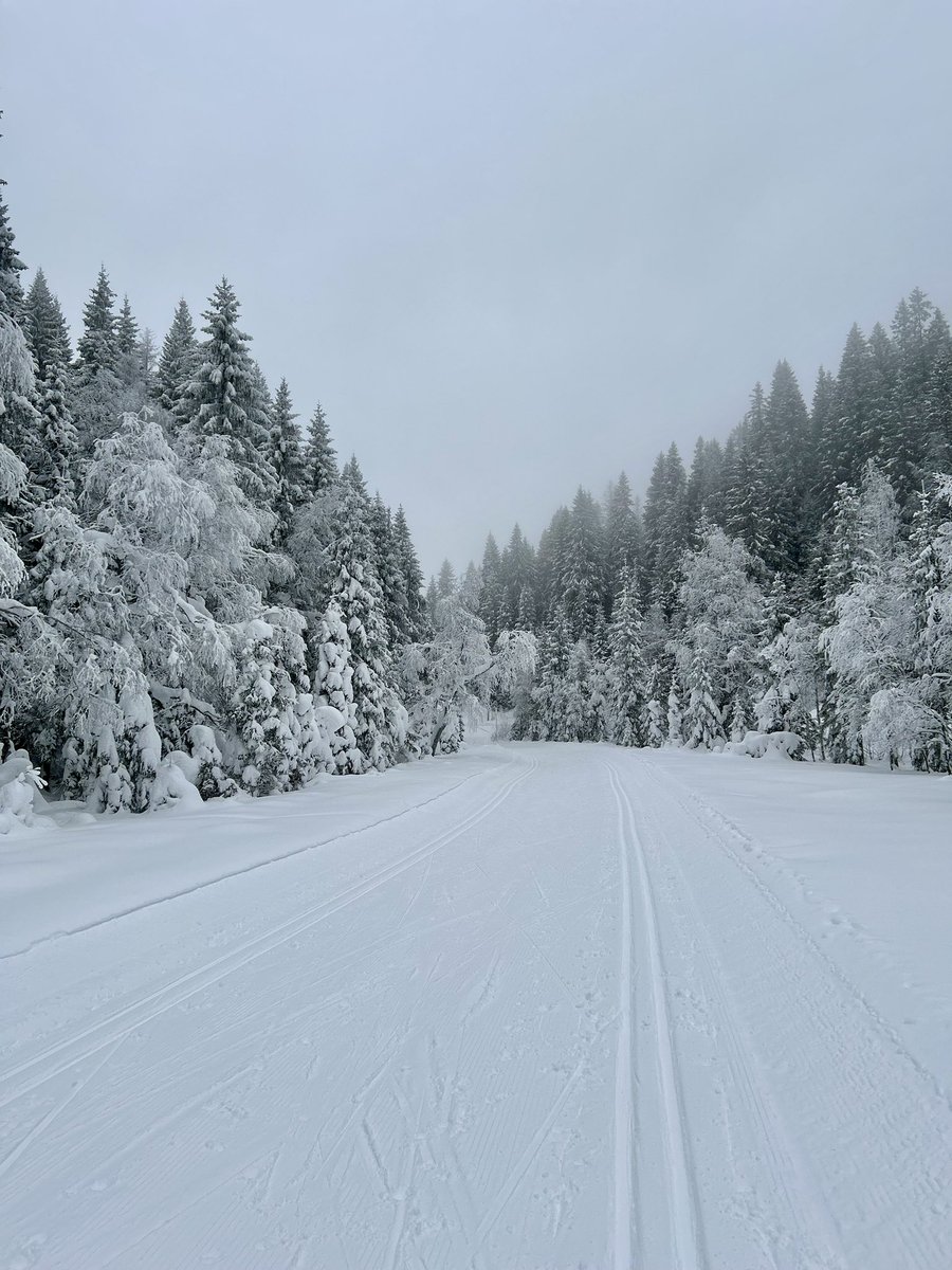 The woods are lovely, dark and deep,   
But I have promises to keep,   
And miles to go before I sleep,   
And miles to go before I sleep.

- Robert Frost