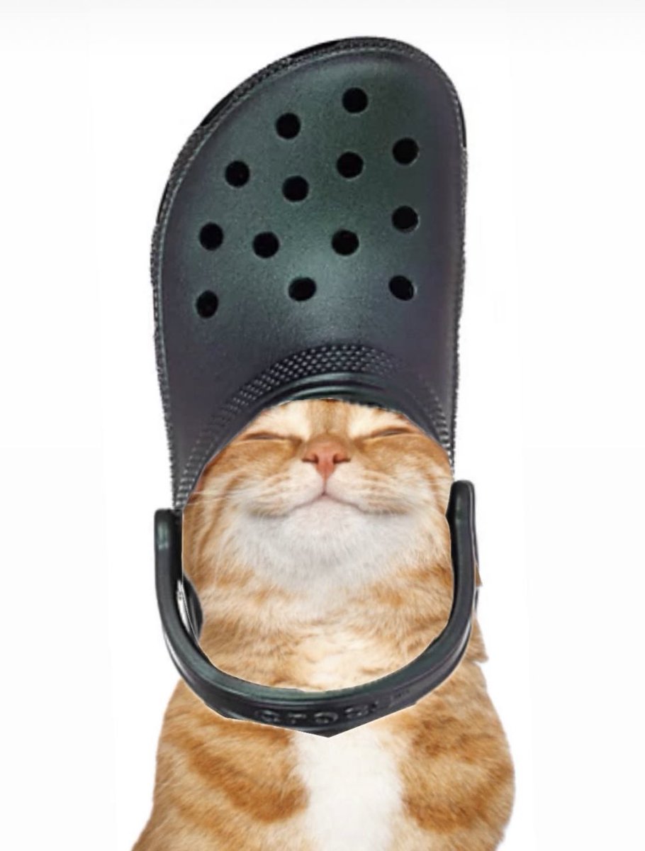 crocthecat's tweet photo. @SatoshiFlipper $croc https://t.co/dHzfrrhBNy