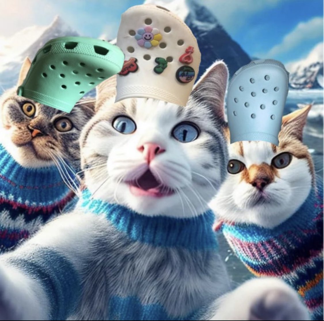 crocthecat's tweet photo. @Yourpop8 $croc https://t.co/9YrPwiKMWg