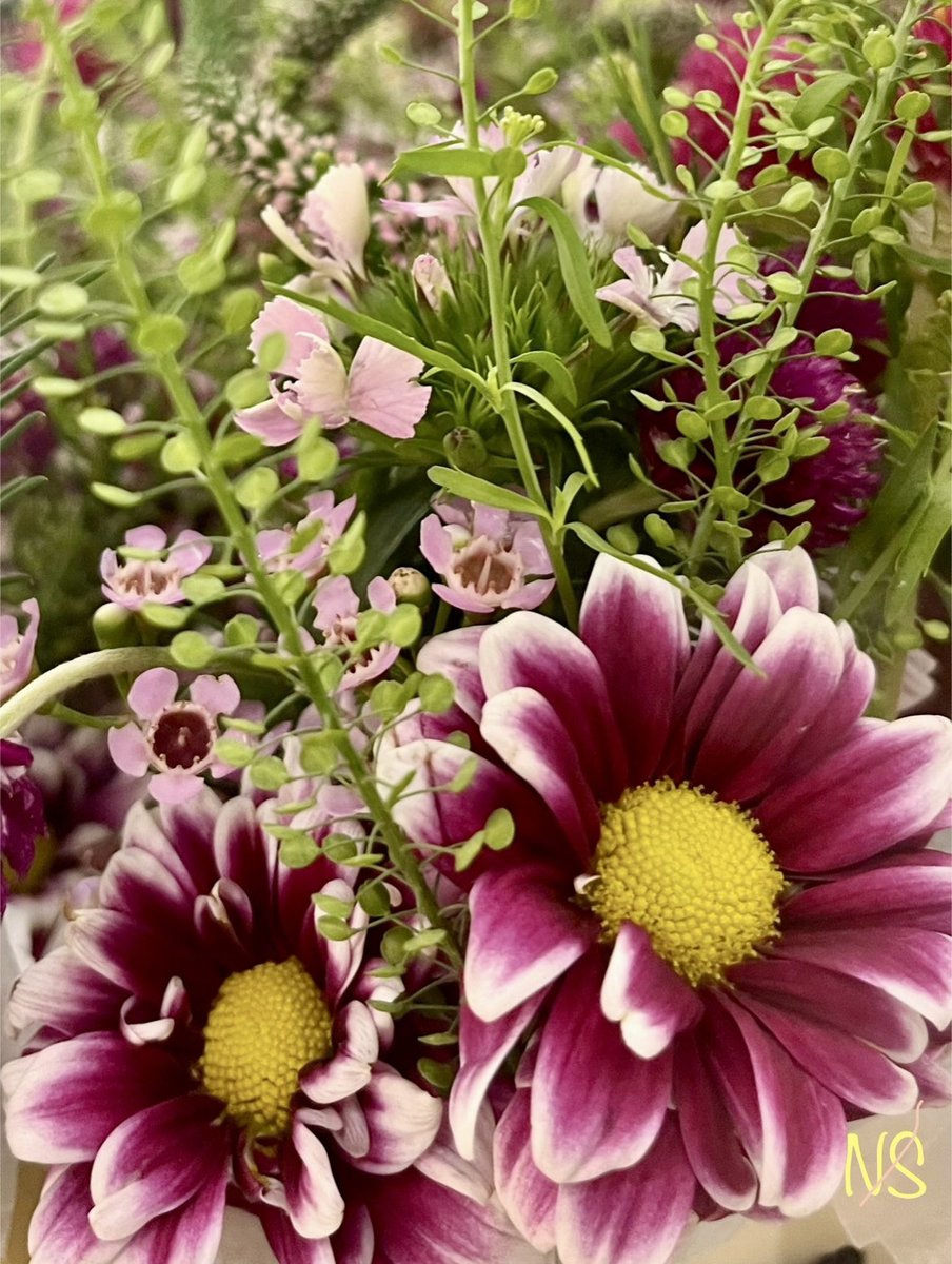 Happy Sunday 🌿🕊️

#PeaceAndLove 
#GoodVibes #BeHappy