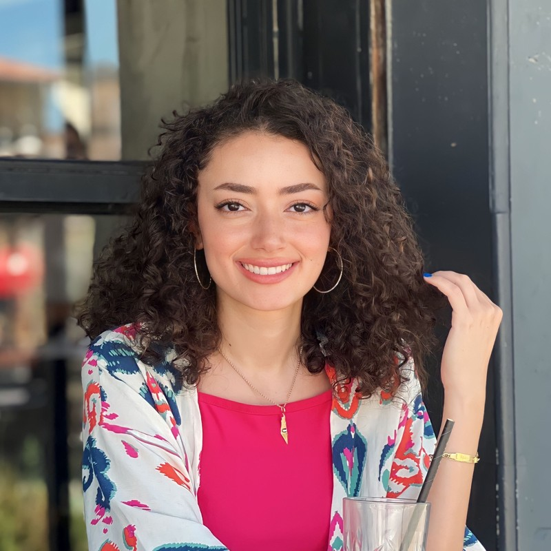 Plestia Alaqad (she/her) - <a href="/byPlestia/">بلستيا</a> - is a citizen journalist and travel blogger, formerly an HR professional. She has been posting video diaries from Gaza - and even from Egypt as she had to flee in November. Her work has been a reminder of how beautiful Gaza can be.