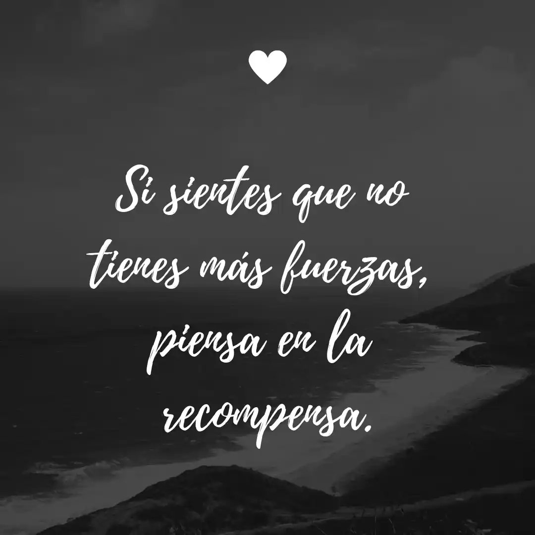 Alejandro 〽️ tweet media