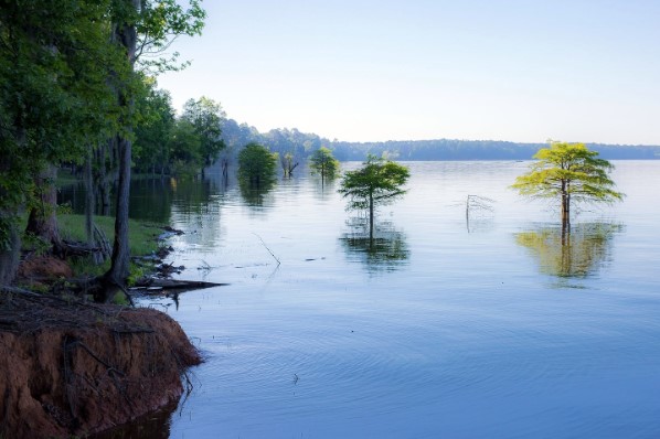 rachaelparkertx's tweet image. Lake therapy: Sunshine, water, and laughter—a perfect prescription. 😎🌞 

📸: etxtraveler via IG

#LakeTherapy #LakeSamRayburn #Texas #FunInTheSunnyWinter #Laughter #LakeLife