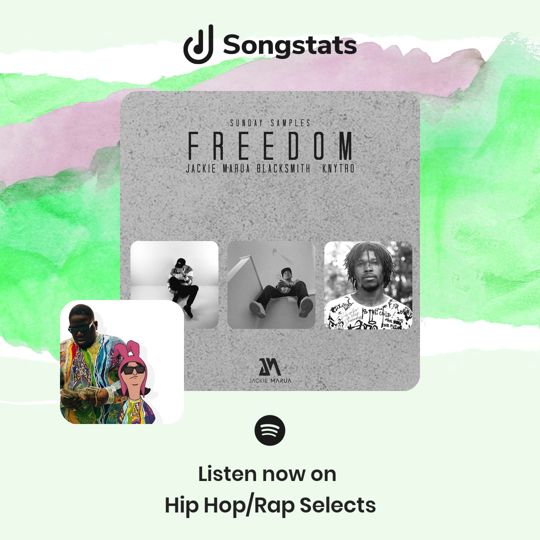 Songstats tweet media